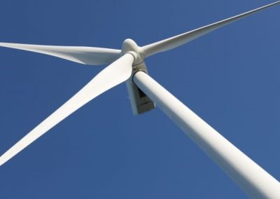 NEWS // #Renewable